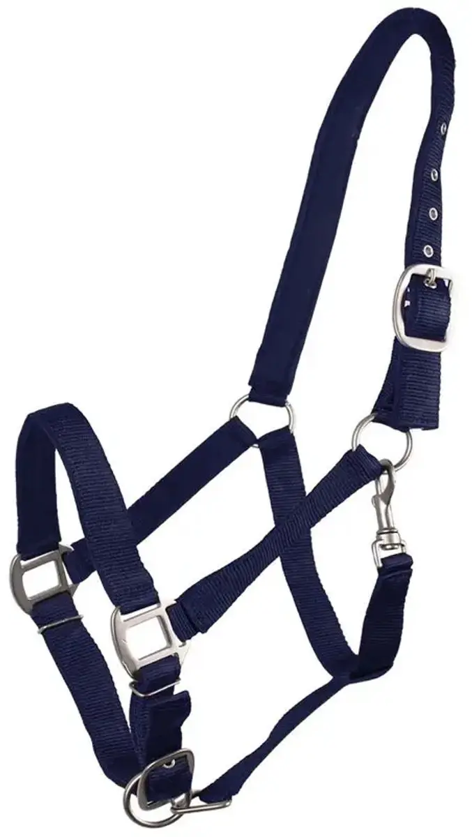 QHP Halster Gevoerd Pony - Blauw