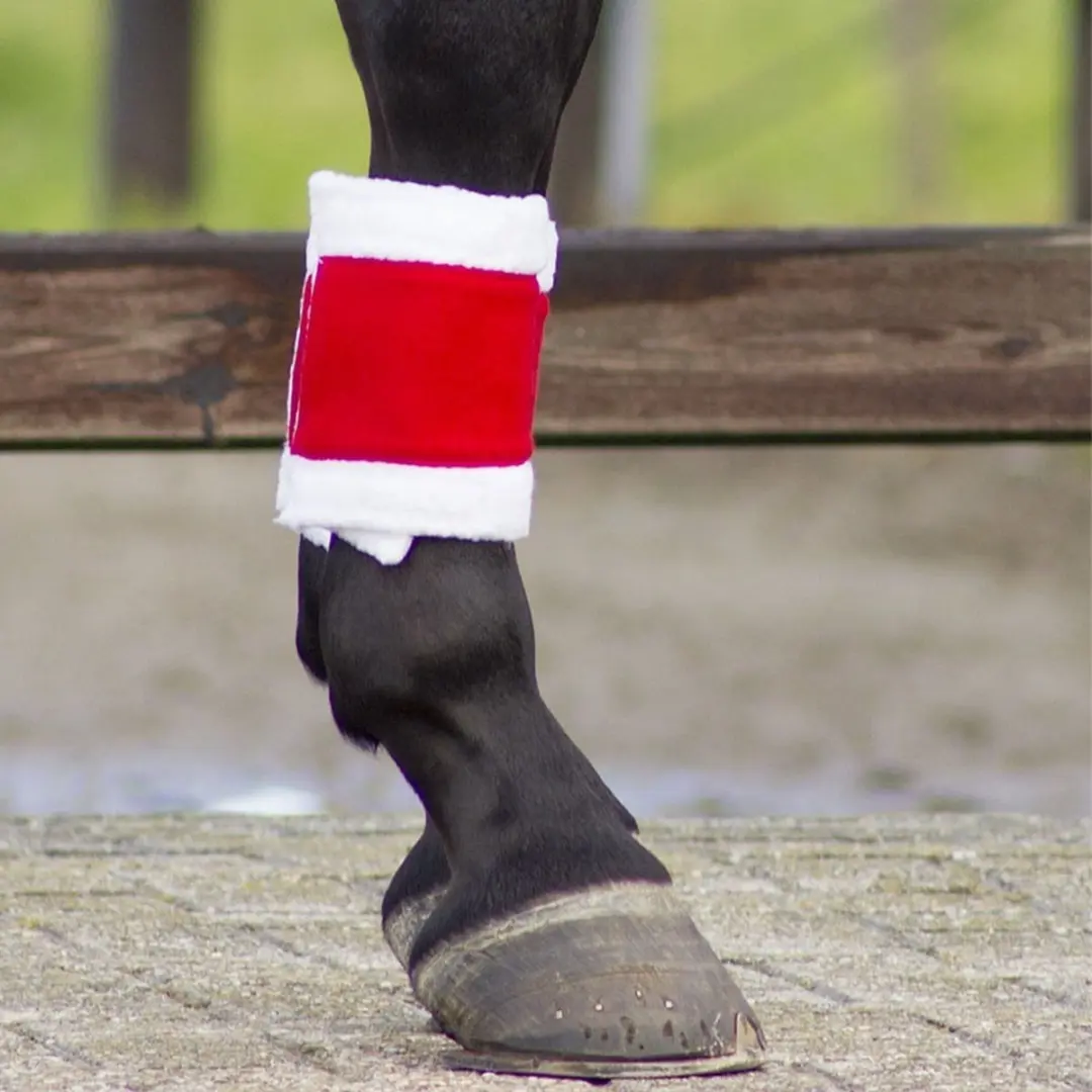 QHP Kerstbandages - One Size - Rood - 4 Stuks - afbeelding 4 van 5