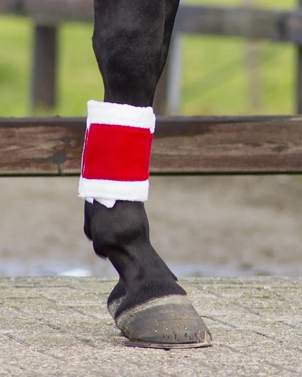 QHP Kerstbandages - One Size - Rood - 4 Stuks - afbeelding 3 van 5
