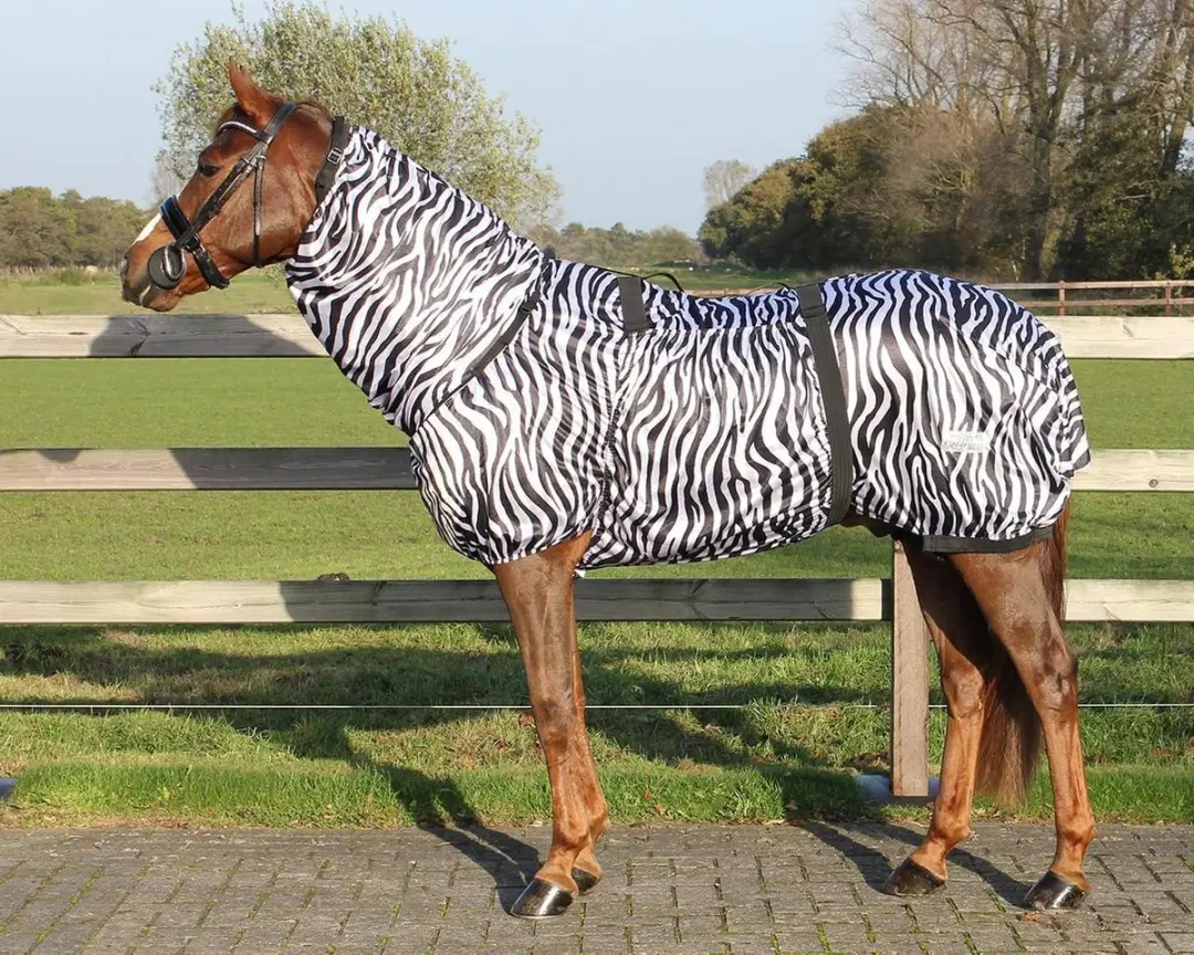 QHP Eczeemdeken Q-Essentials Zebra 100 - afbeelding 6 van 6