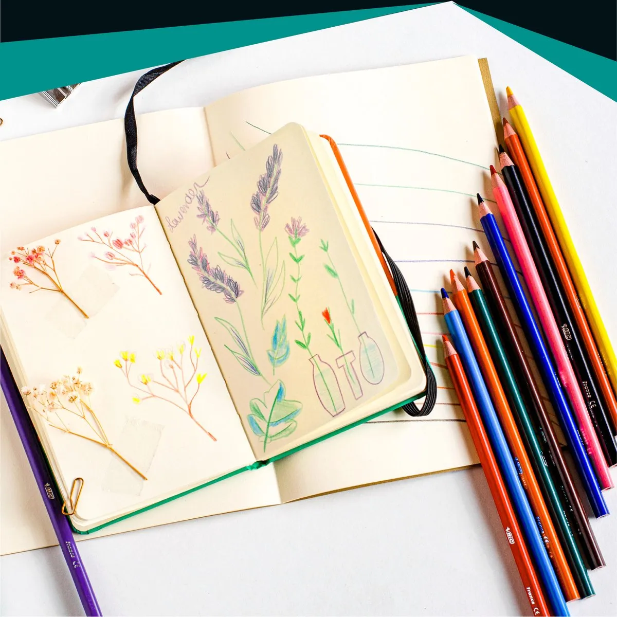 BIC Intensity - Kleurpotloden - Kinderen en volwassenen - Verschillende Kleuren - Potlood - 24 Stuks