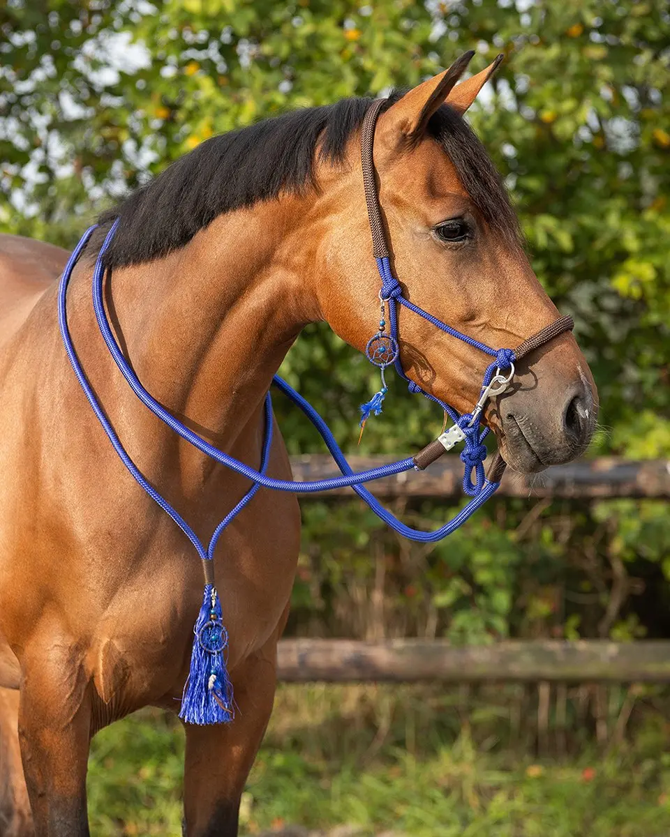 QHP Touwhalster Combi Neckrope - Pony - Kobaltblauw