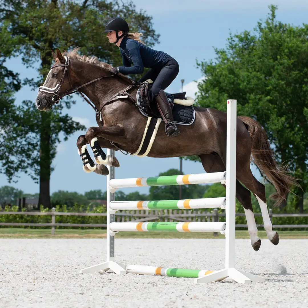 QHP Singel Ontario 130cm - Zwart