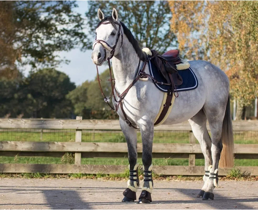 QHP Singel Ontario 130cm - Zwart