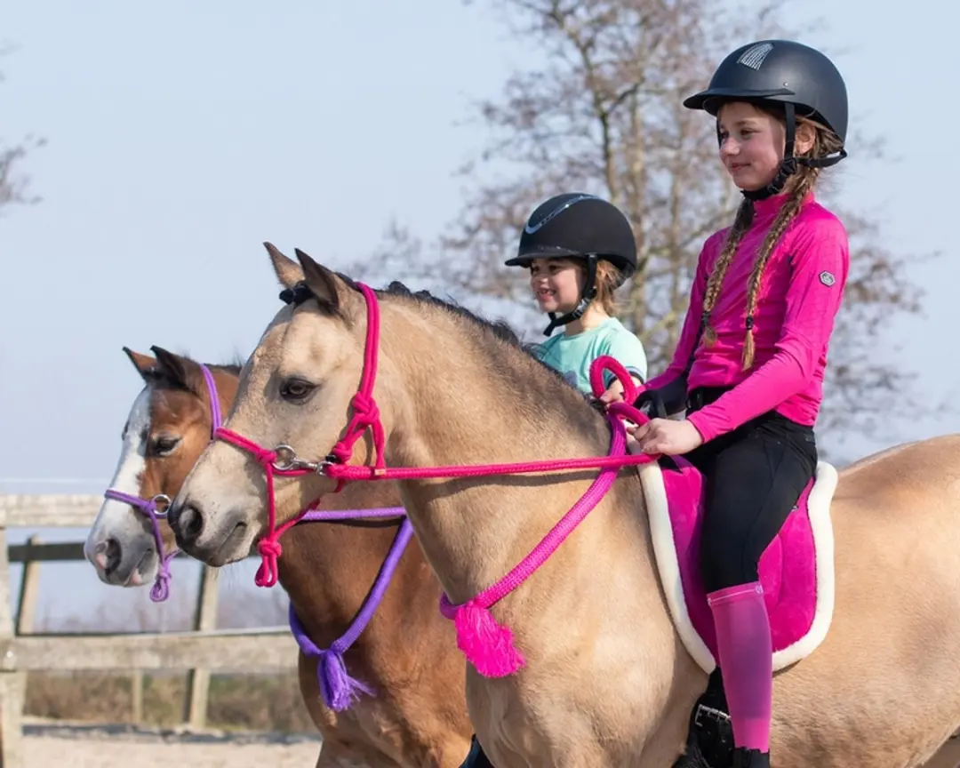 QHP Bareback Pad Full - Rood - afbeelding 2 van 6