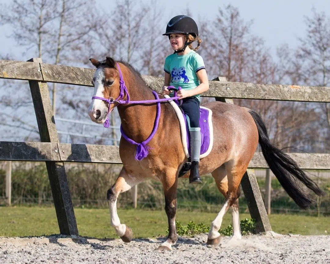 QHP Bareback Pad Sky - Maat 16 inch