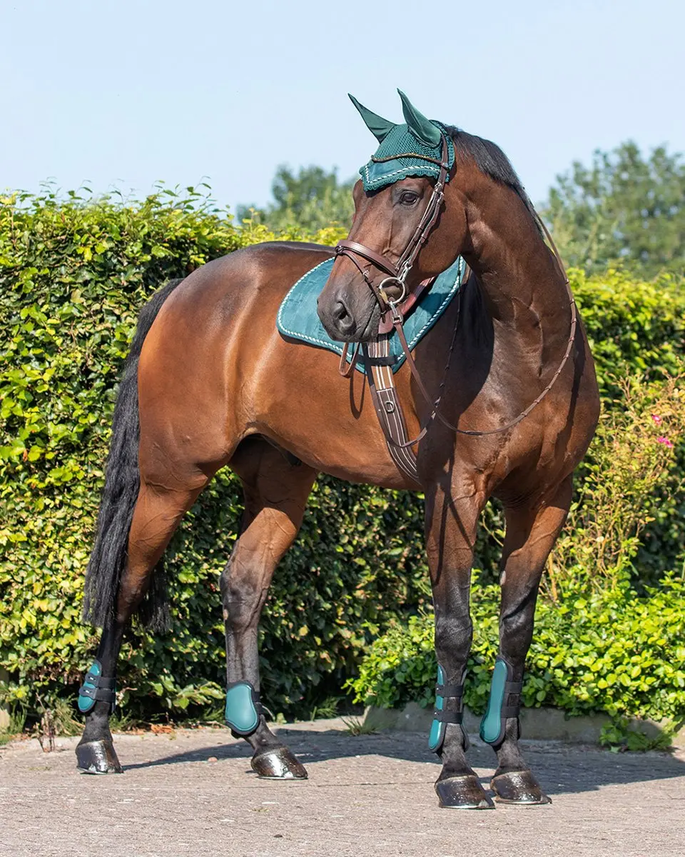 QHP Peesbeschermerset Pony - Donkergroen