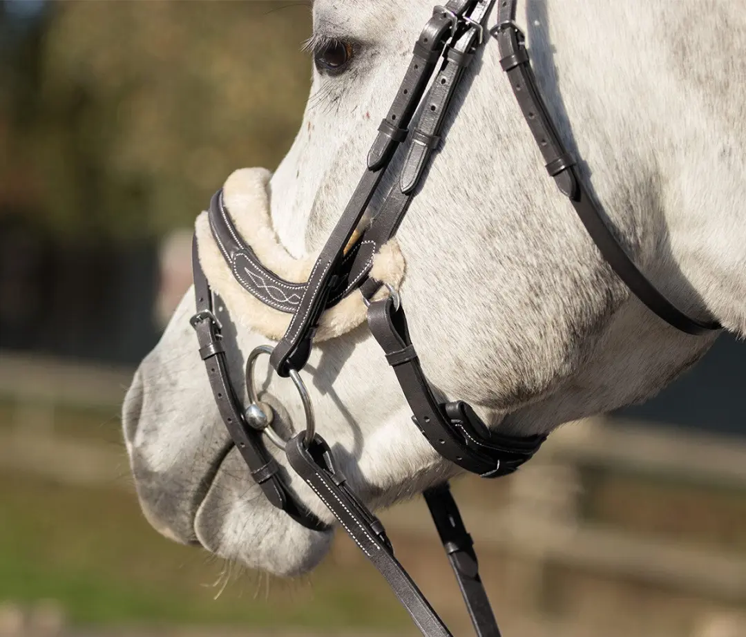 QHP Ontario Hoofdstel - Full - Zwart