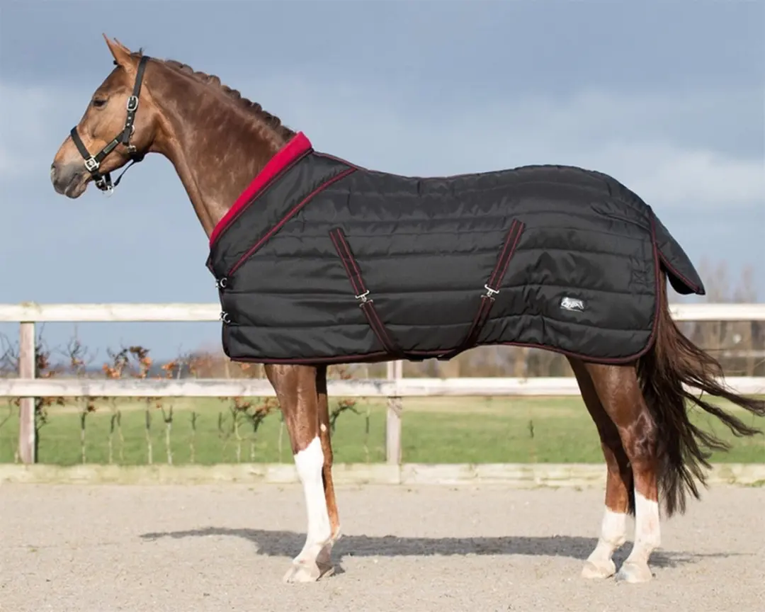 QHP Staldeken Luxe Collection 200g - 185cm - Zwart