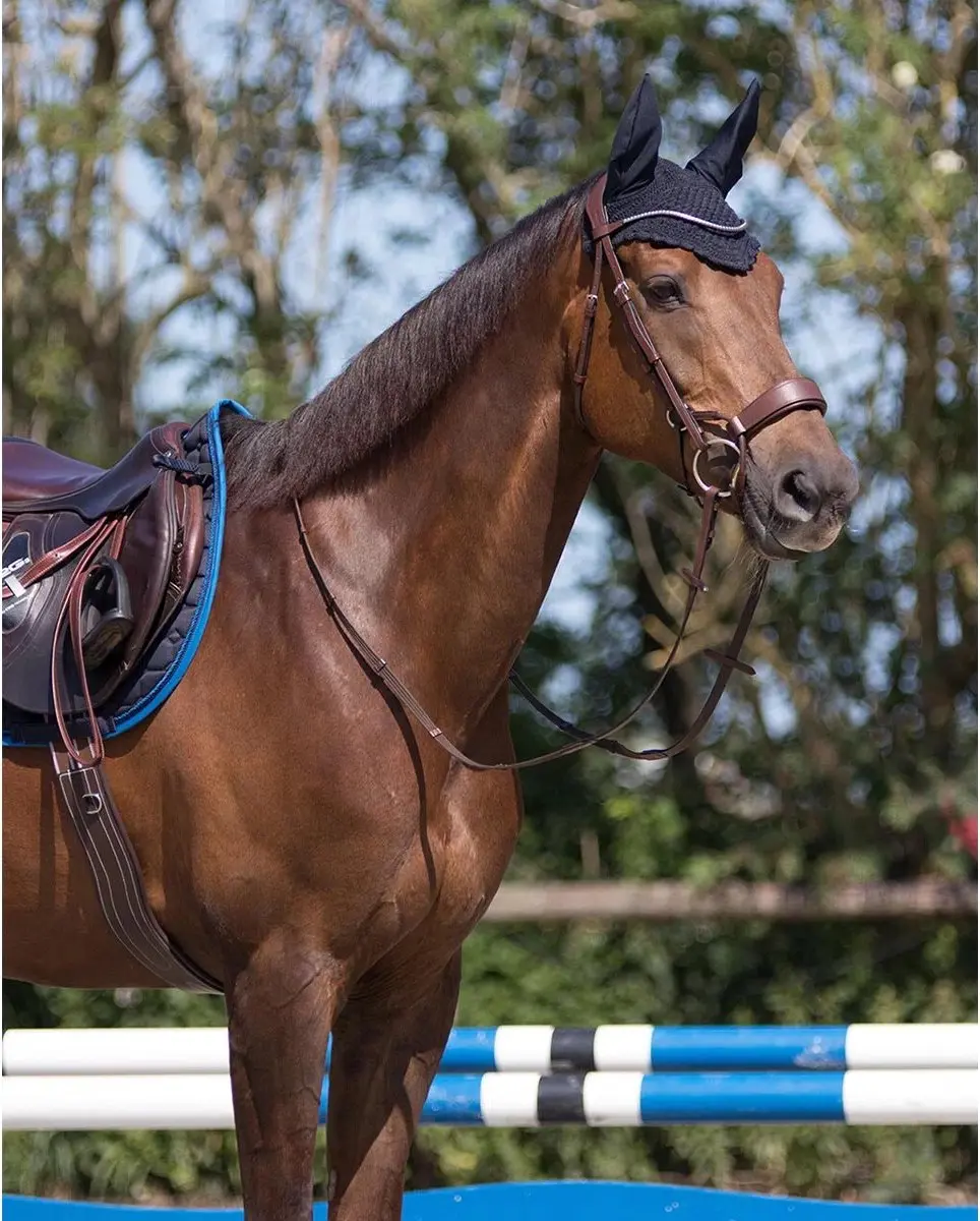 QHP Oornetje Florence Pony - Donkerblauw