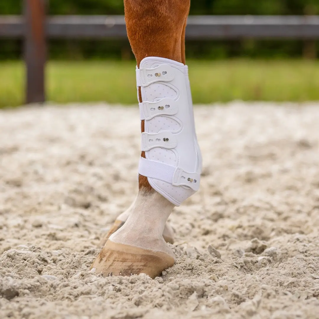 QHP Beenbeschermers Champion L - Wit - afbeelding 6 van 6