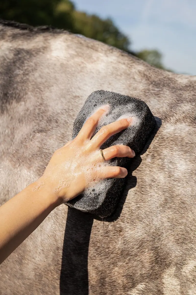 QHP Equi Super Shiner Spons - Zwart