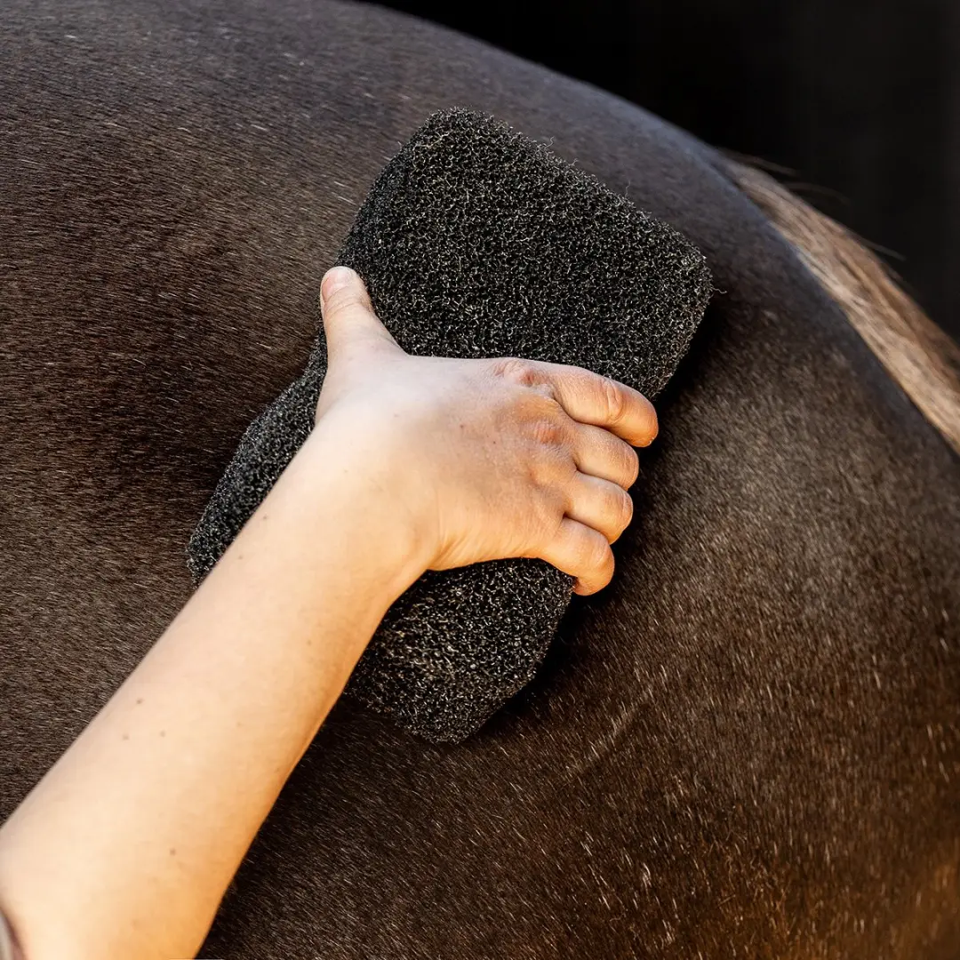 QHP Equi Super Shiner Spons - Zwart