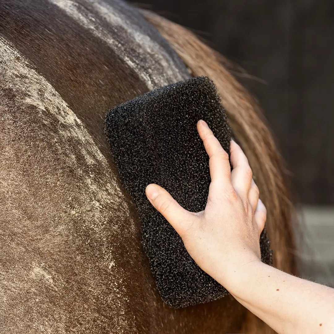 QHP Equi Super Shiner Spons - Zwart