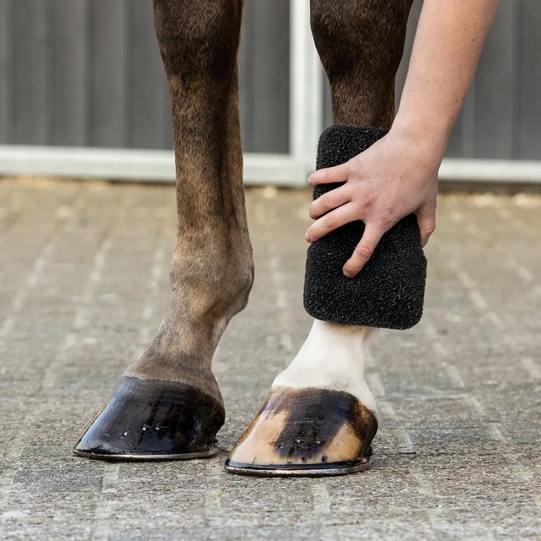 QHP Equi Super Shiner Spons - Zwart