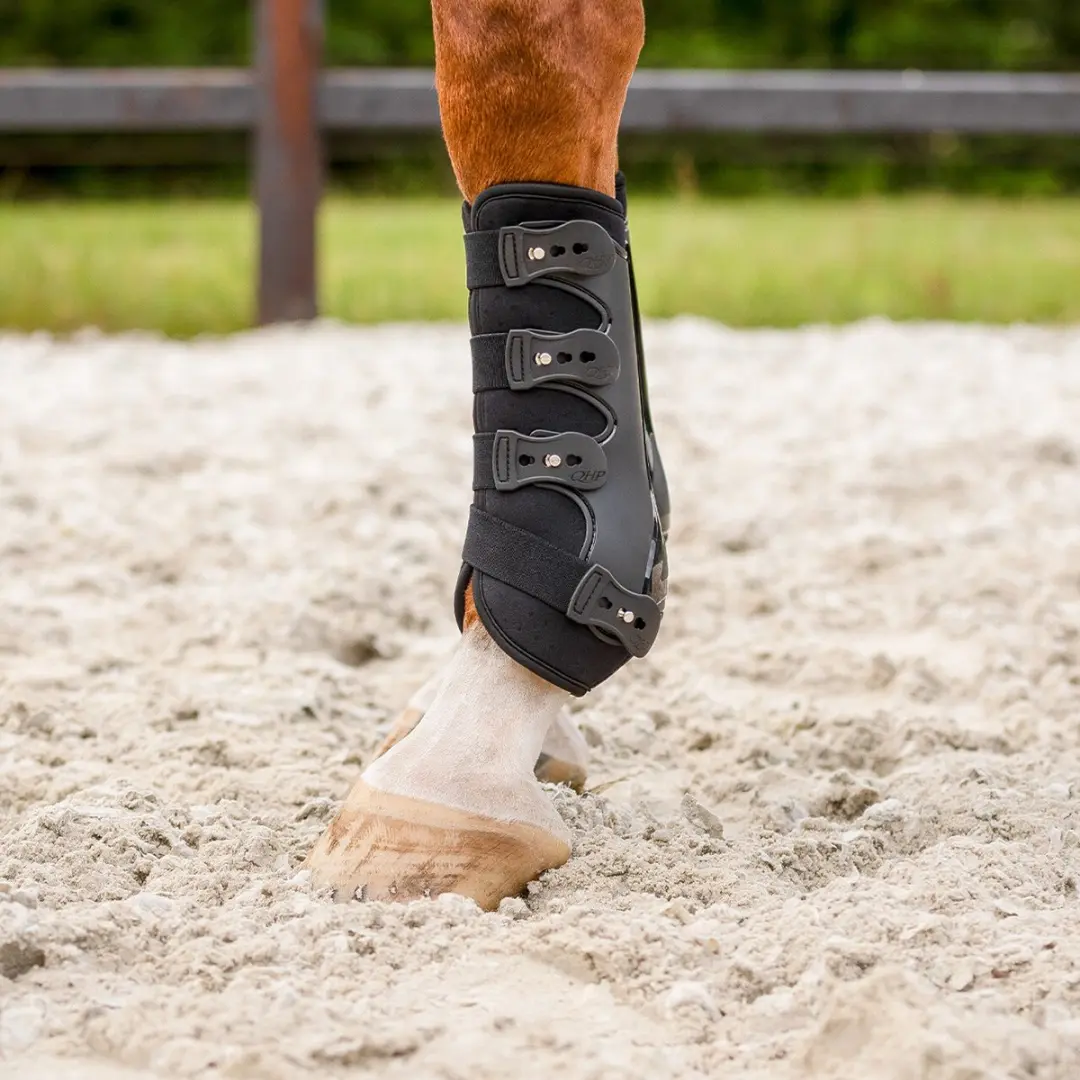 QHP Beenbeschermers Champion XL - 2 Stuks - Zwart