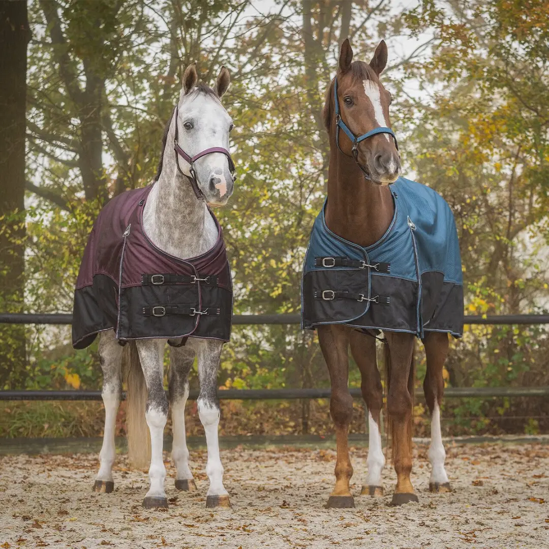 QHP Collection Fleecedeken Paard 300g - Blauw - 135cm - afbeelding 3 van 6
