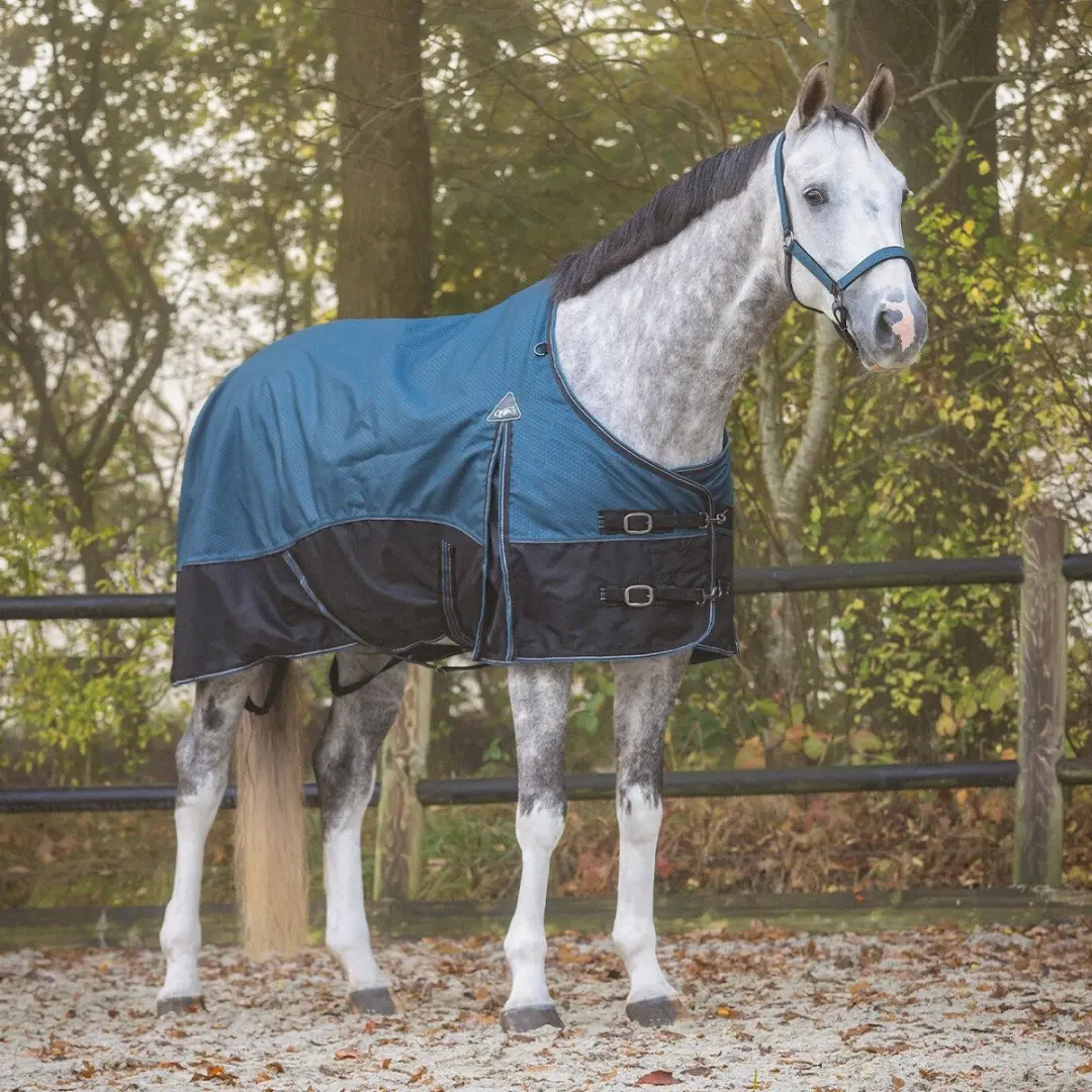 QHP Regendeken De Luxe 1200D Mystric Blue - 165cm - afbeelding 5 van 6