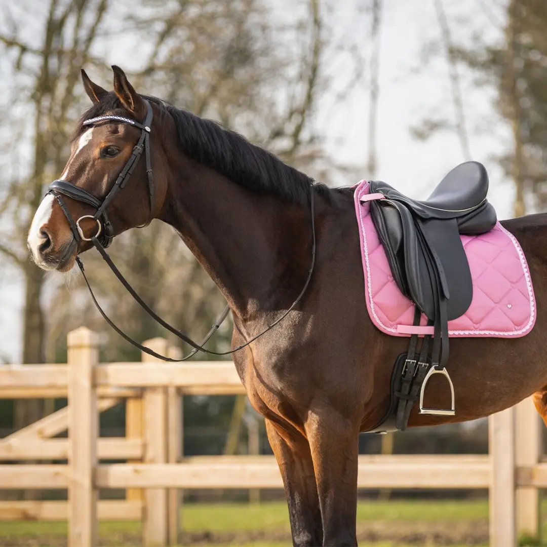 QHP LYVIA Zadeldek - Pony - Roze - afbeelding 4 van 6