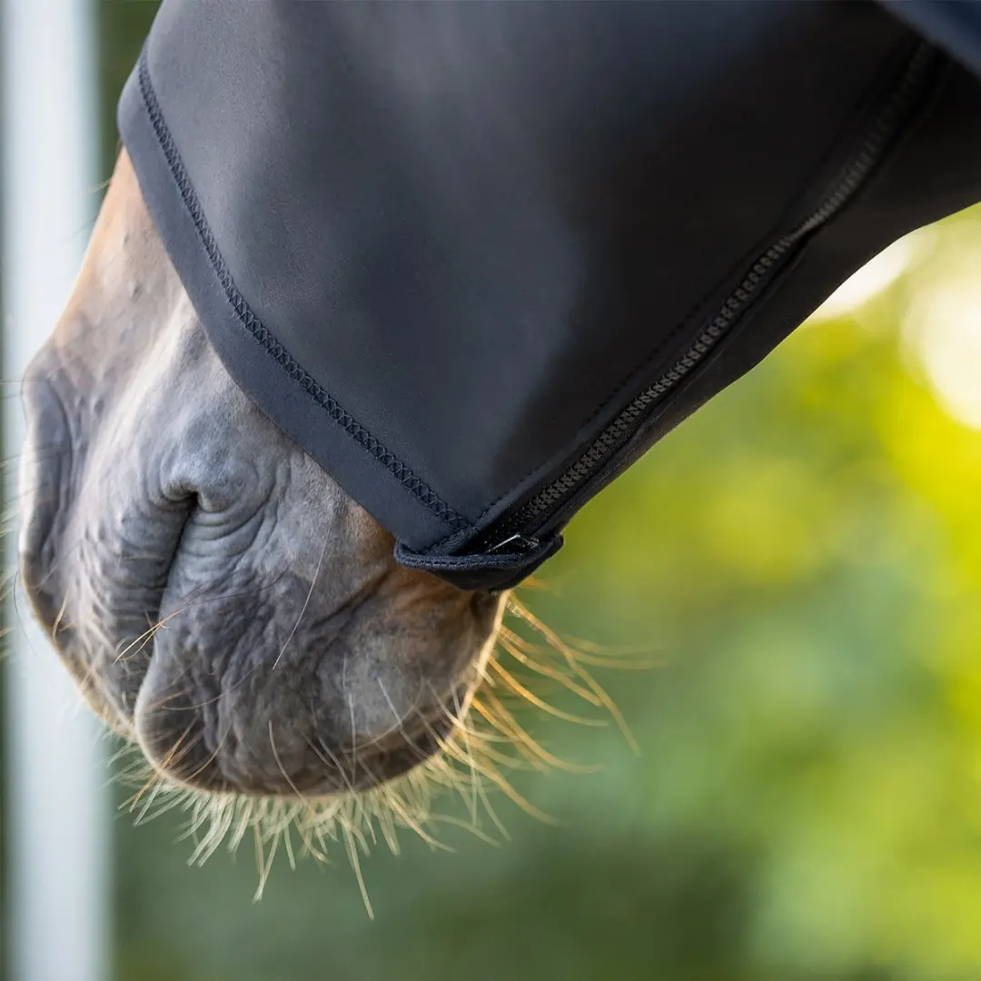 QHP Elastische Halsbeschermer L - Zwart