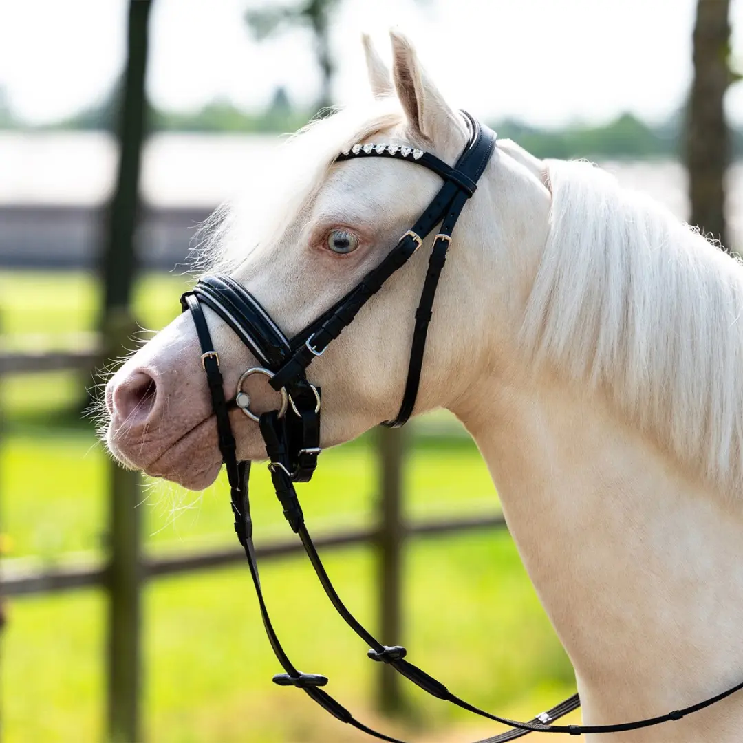 QHP Bixie Hoofdstel - Full - Zwart-Zilver