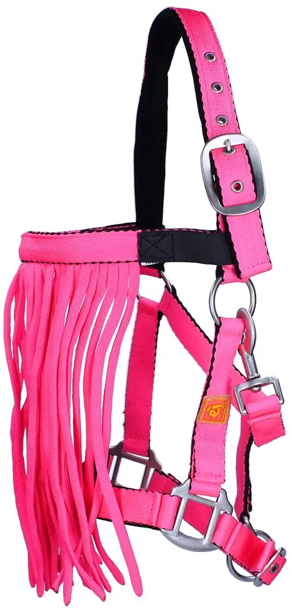 Epplejeck Halster Cob