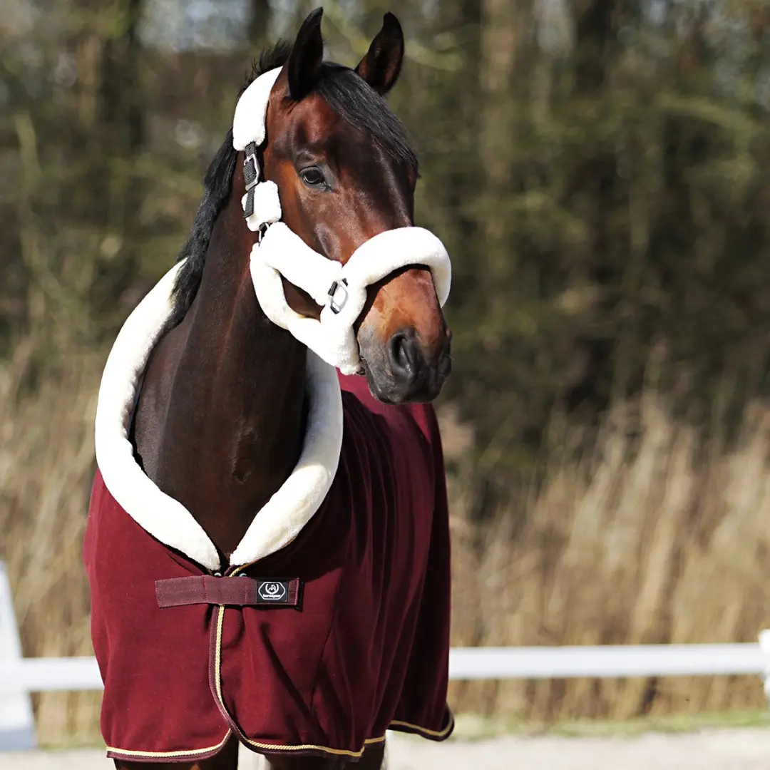 Horsegear Allure Zweetdeken 130/175 - Donkerrood