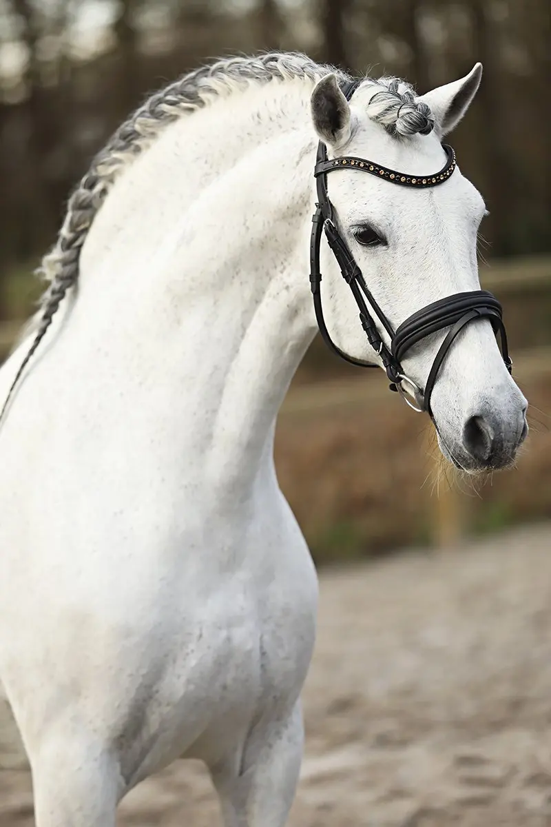 Horsegear Hoofdstel HGlembut Soft Pony - Zwart