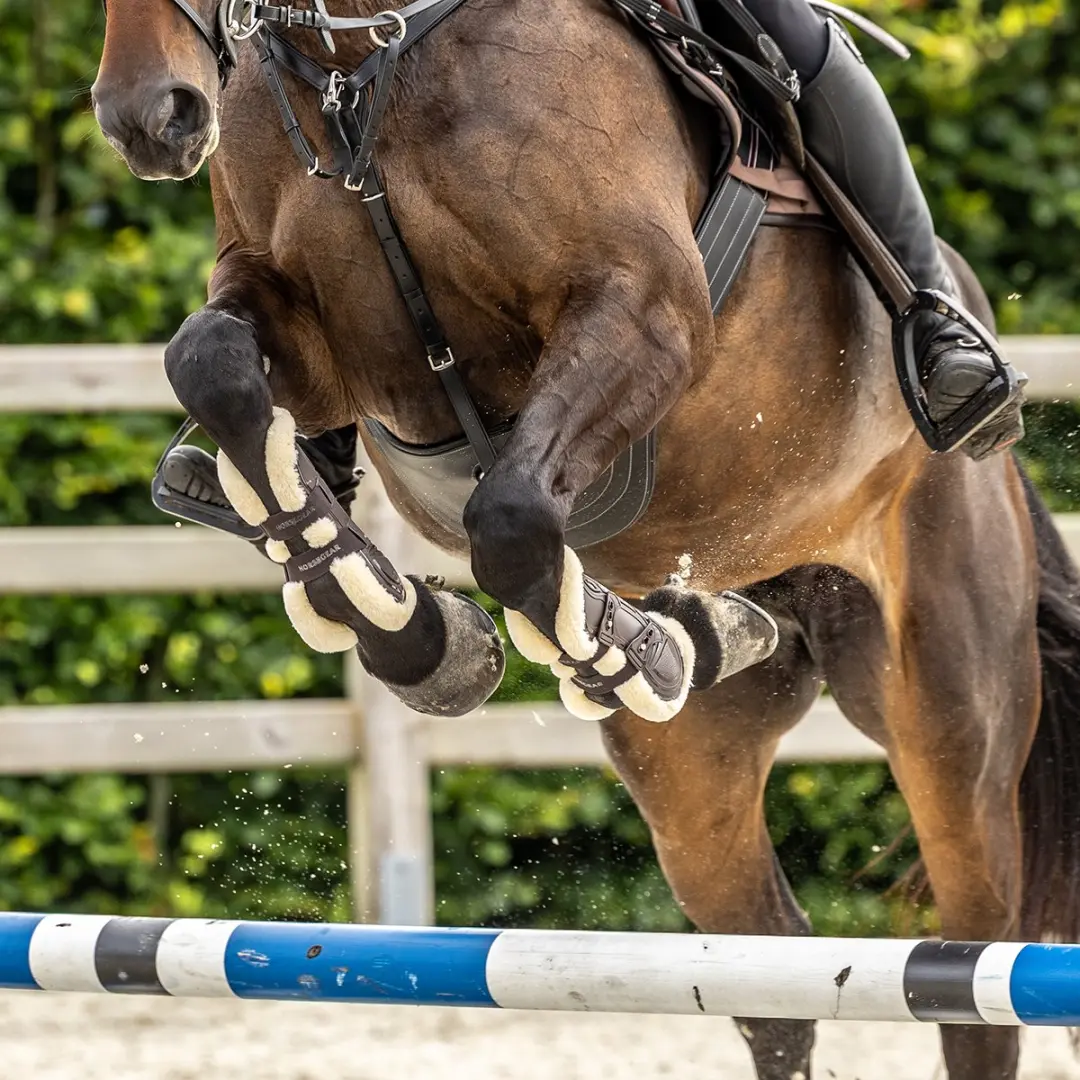 Horsegear Peesbeschermers HGprotection Full Bruin