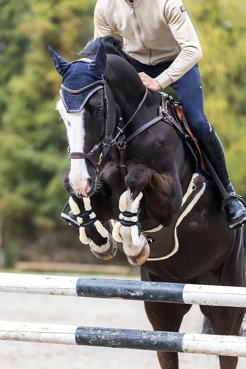 Horsegear Oornetje HGwareham - Cob - Donkerblauw