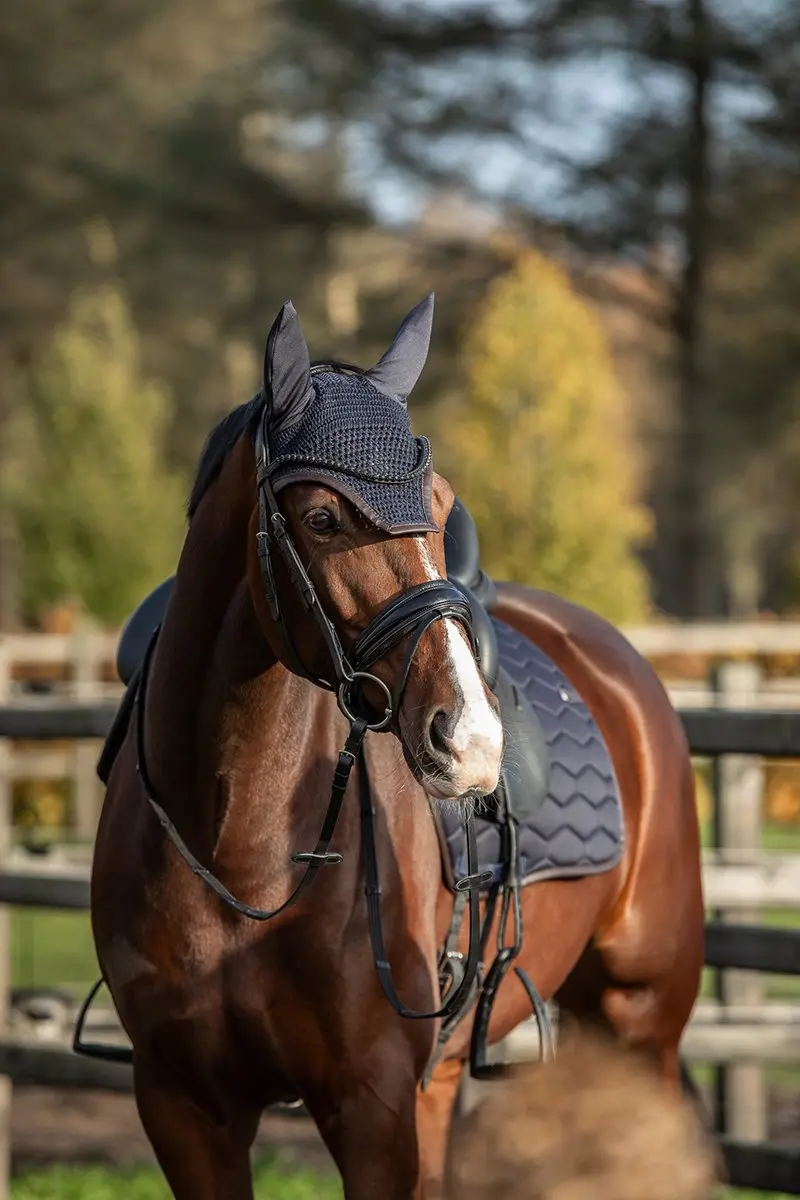 Horsegear Oornetje HGwareham