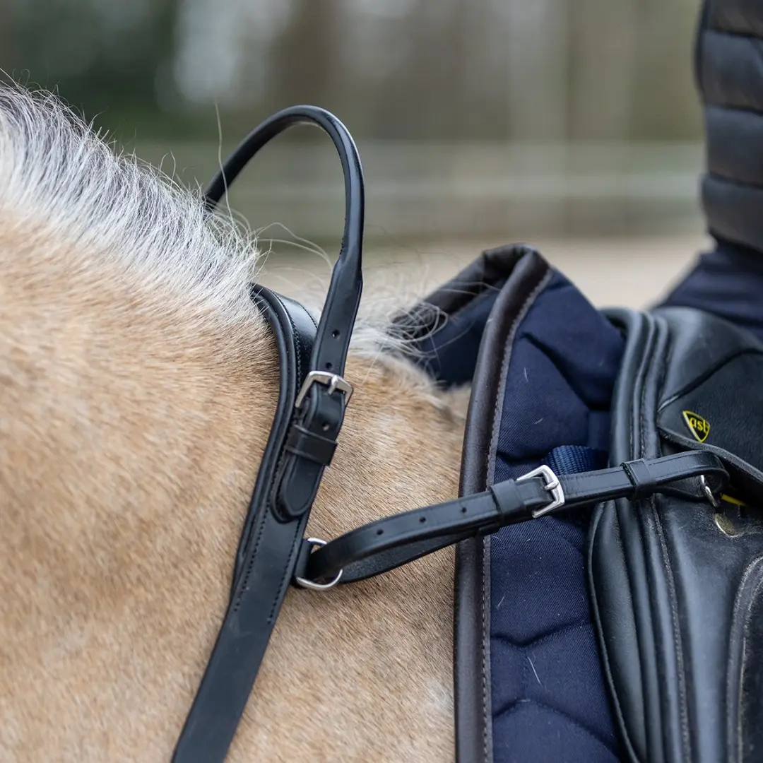 Horsegear Balance Belt - Zwart