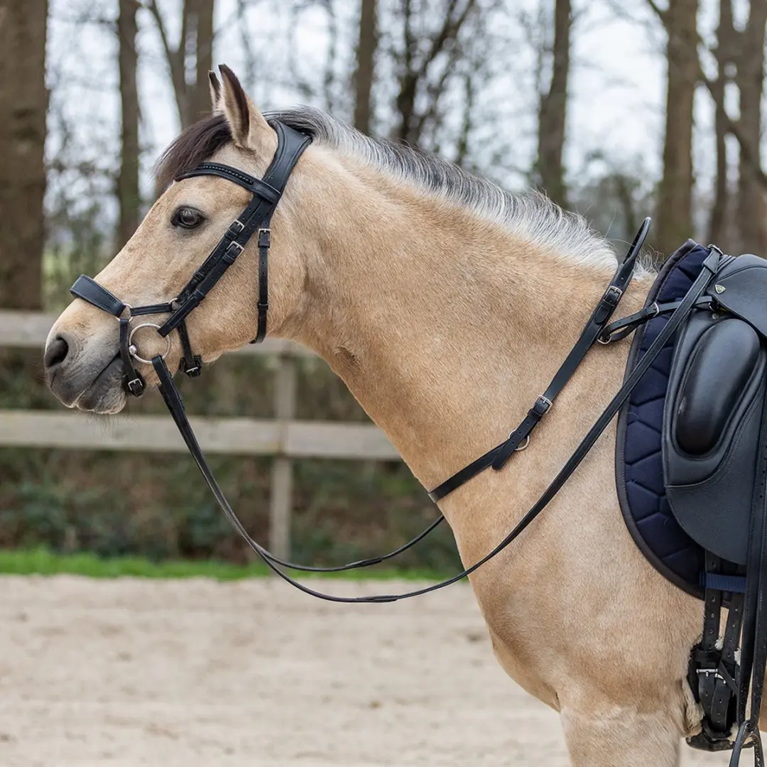 Horsegear Balance Belt - Zwart