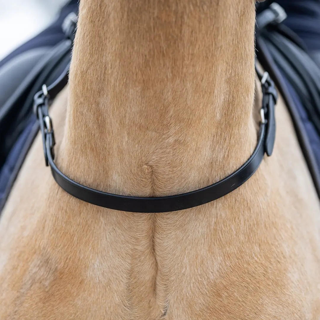 Horsegear Balance Belt - Zwart