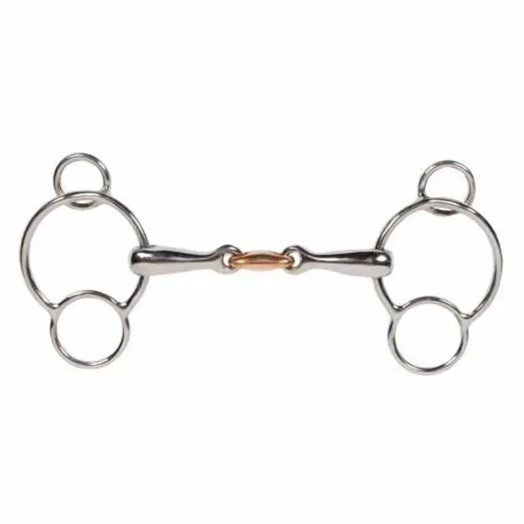 Pagony Pessoa Bit Dubbel Gebroken Luxe 16mm - 13,5 - Zilver