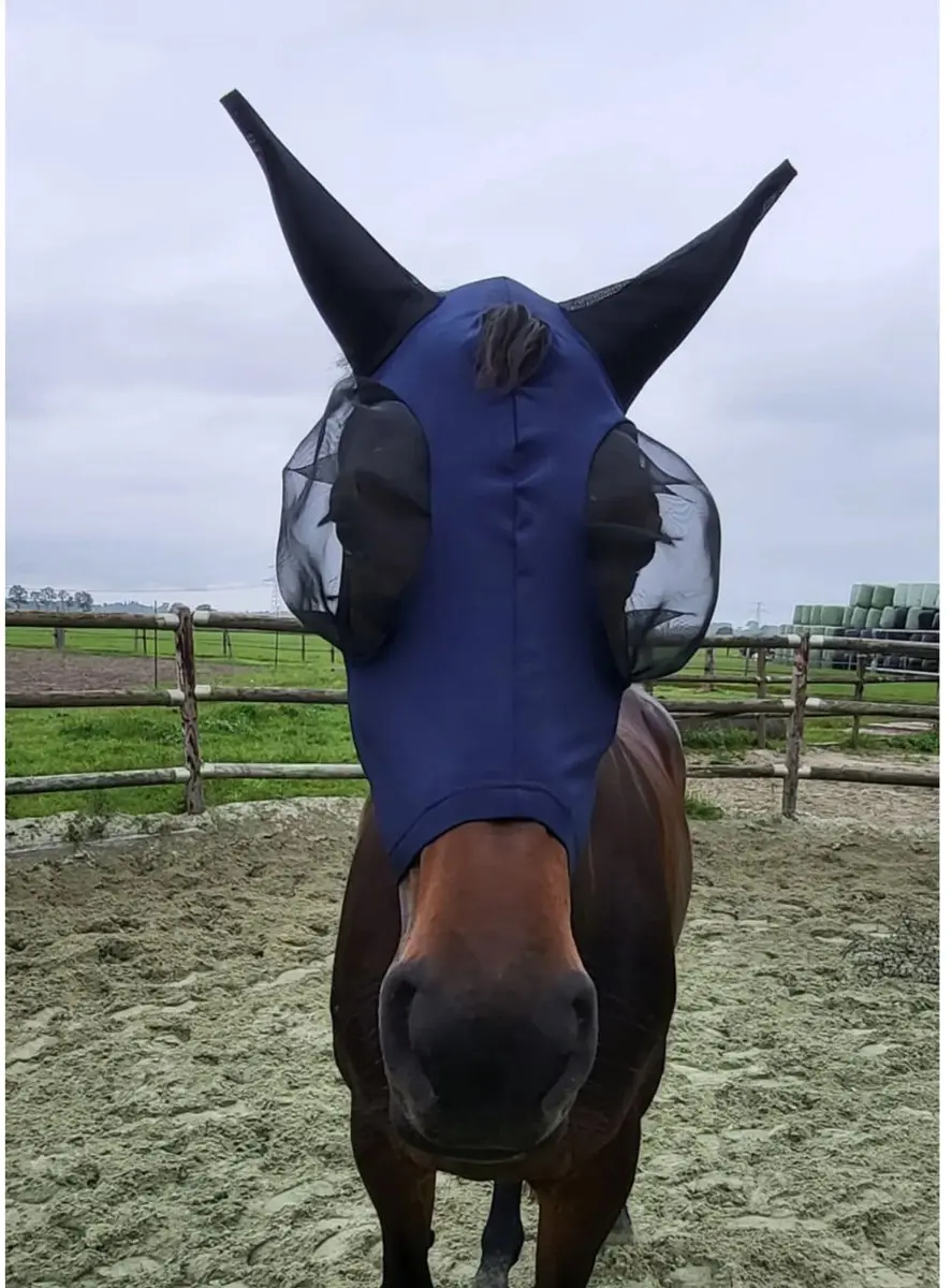 Pagony Easyfit Vliegenmasker M - Donkerblauw