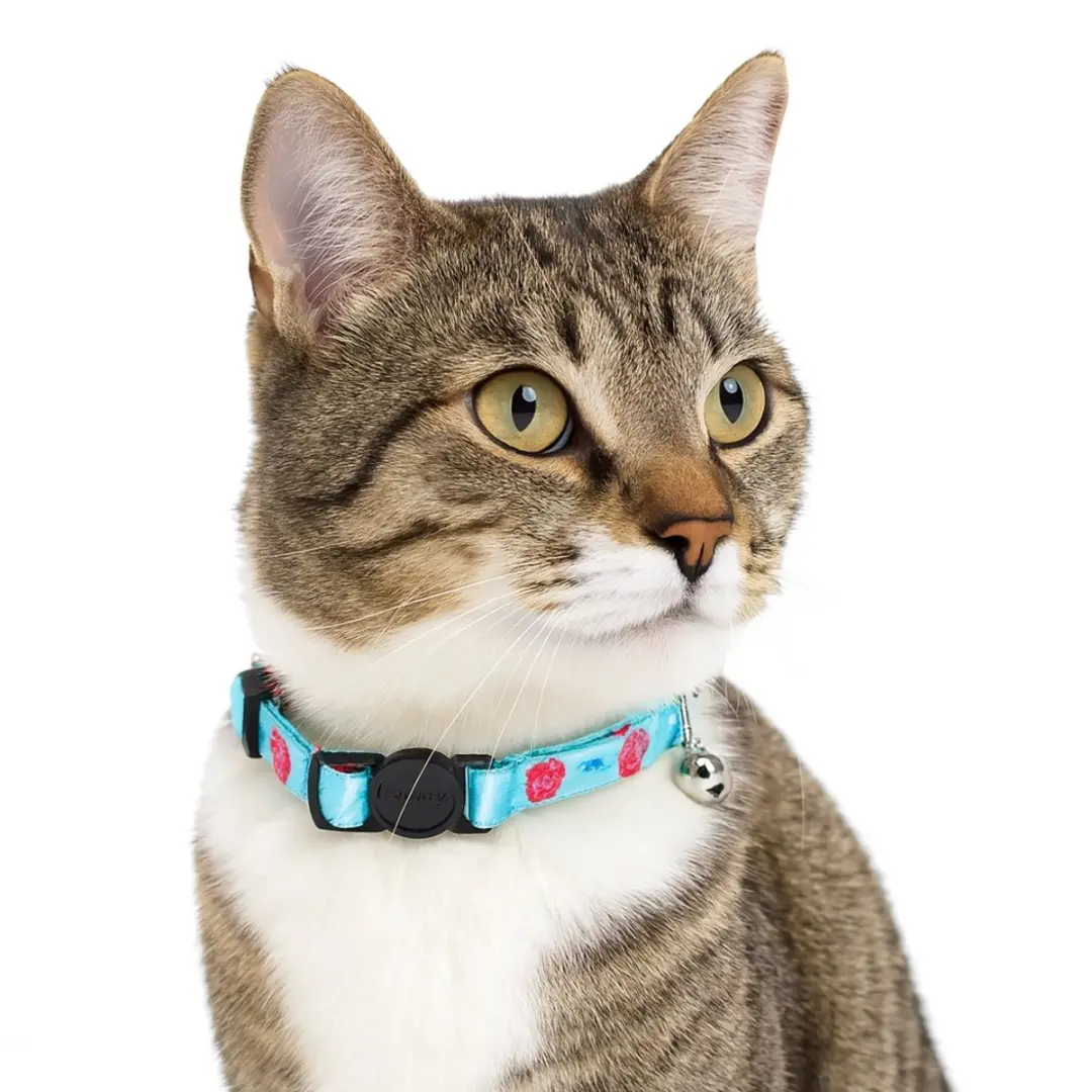 Nobleza Kattenhalsband Blauw Rozen