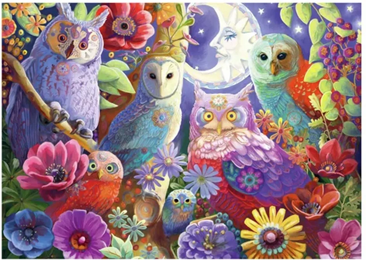 Ravensburger Night Owl Hoot Legpuzzel 300 Stuks - Multicolor