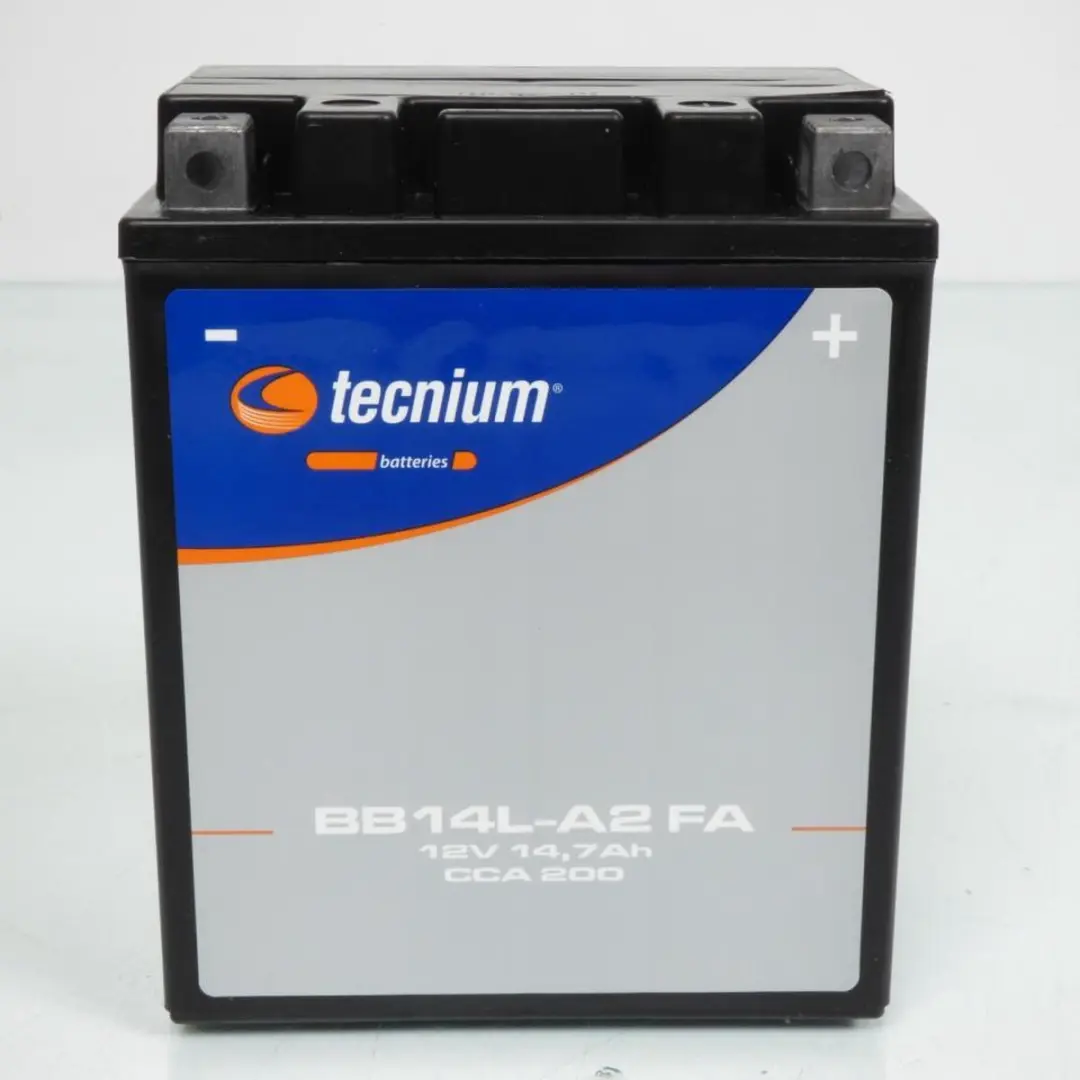 Sla Tecnium-accu voor Arctic Cat 300 4x2 / 4x4 quad 1998 tot 2004 YB14L-A2 / 12