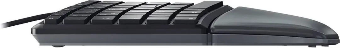 Cherry KC 4500 ERGO Toetsenbord - AZERTY - Zwart - afbeelding 2 van 6
