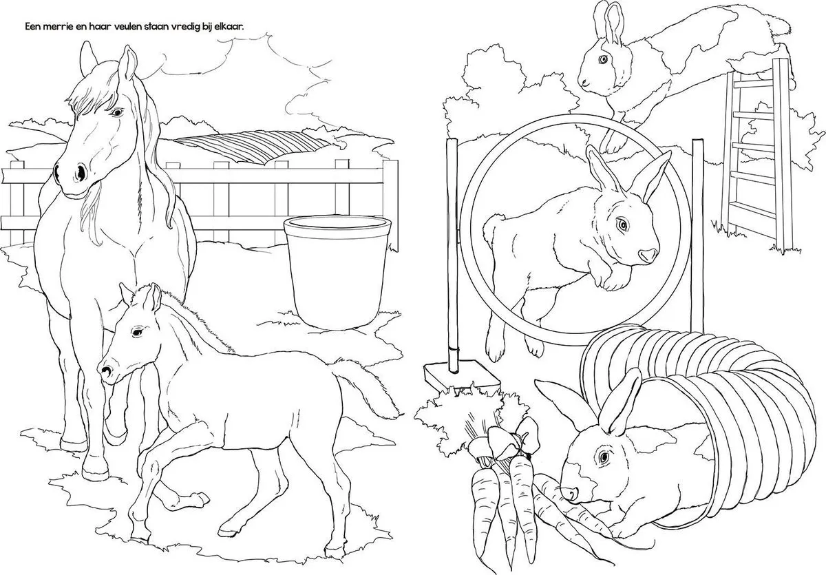 Tactic Boerderijdieren Kleurboek - 48 Pagina's