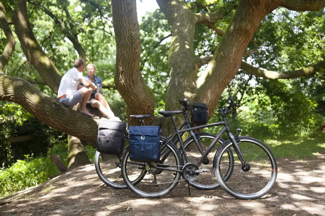 New Looxs Vigo Dubbele Fietstas 37L - Blauw
