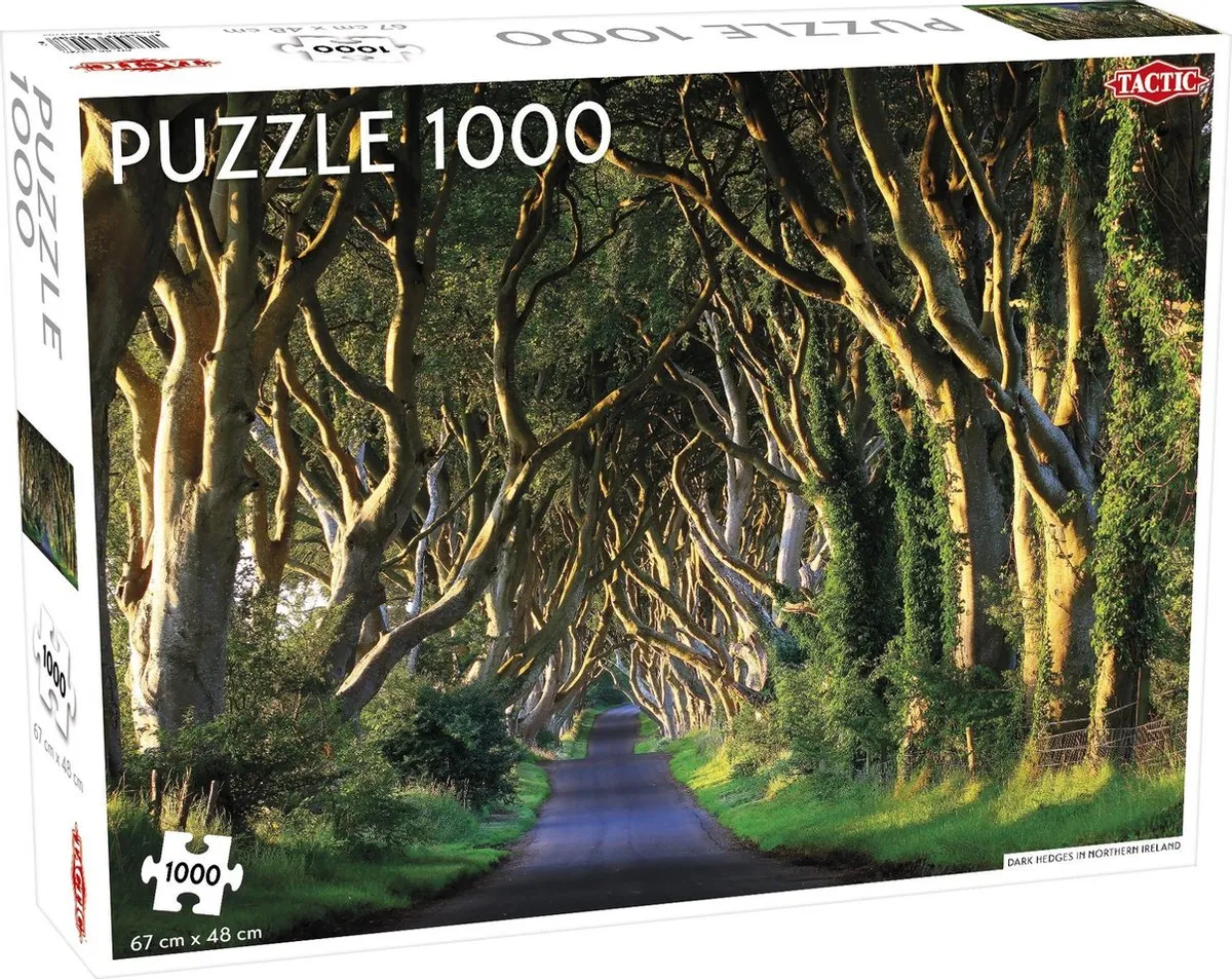 Tactic Puzzel Dark Hedges Northern Ireland 1000 Stukjes