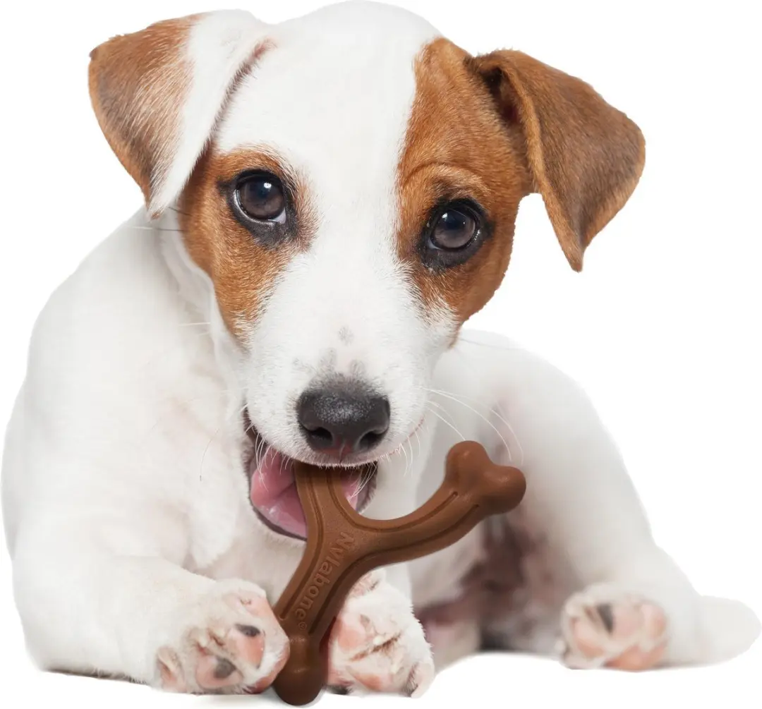 Nylabone Extreme Chew Wishbone Bison - L