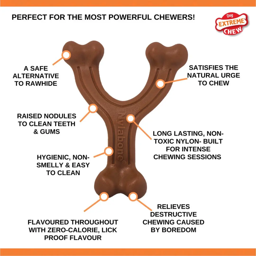 Nylabone Extreme Chew Wishbone Bison - L
