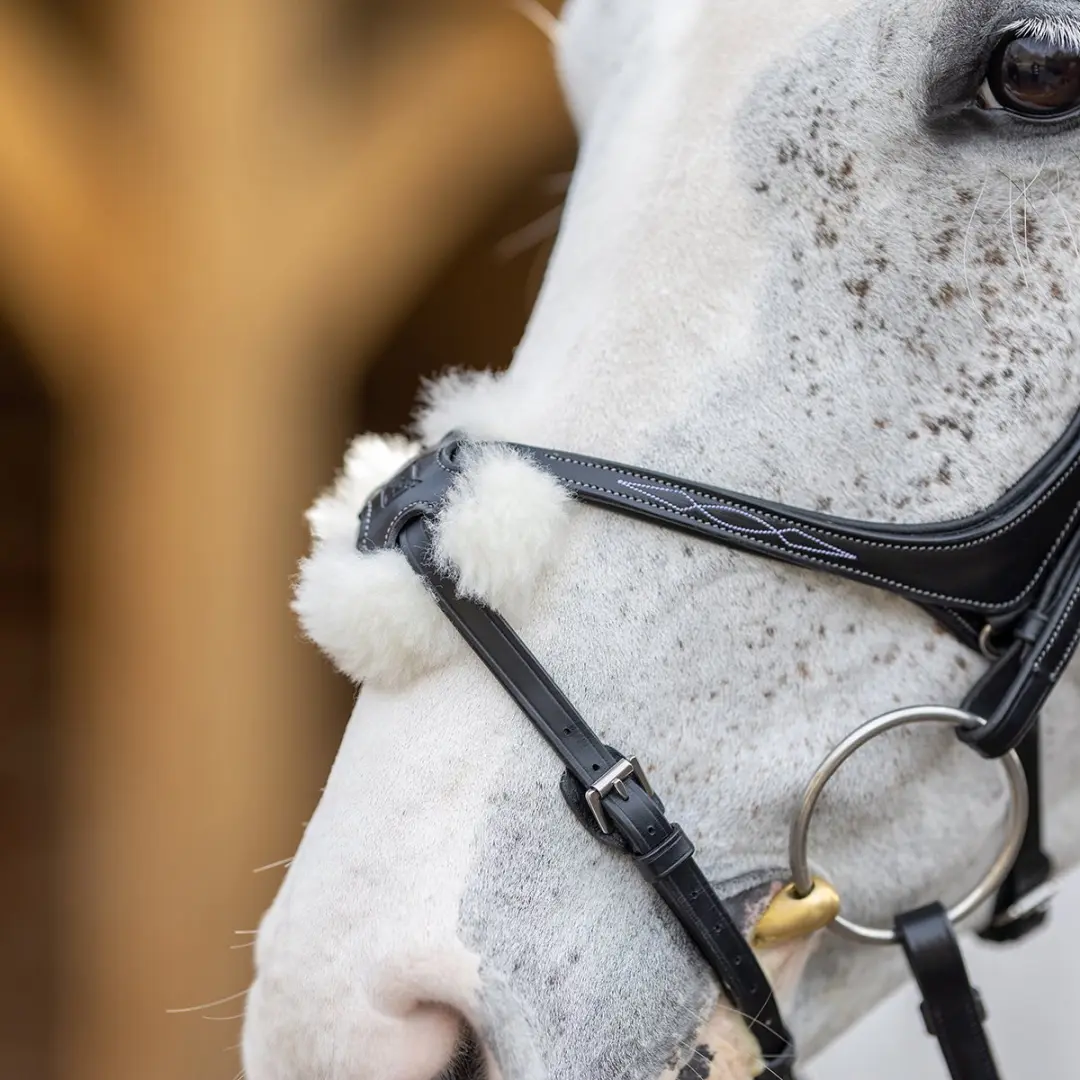 Lemieux Competition Flash Hoofdstel - Cob - Zwart