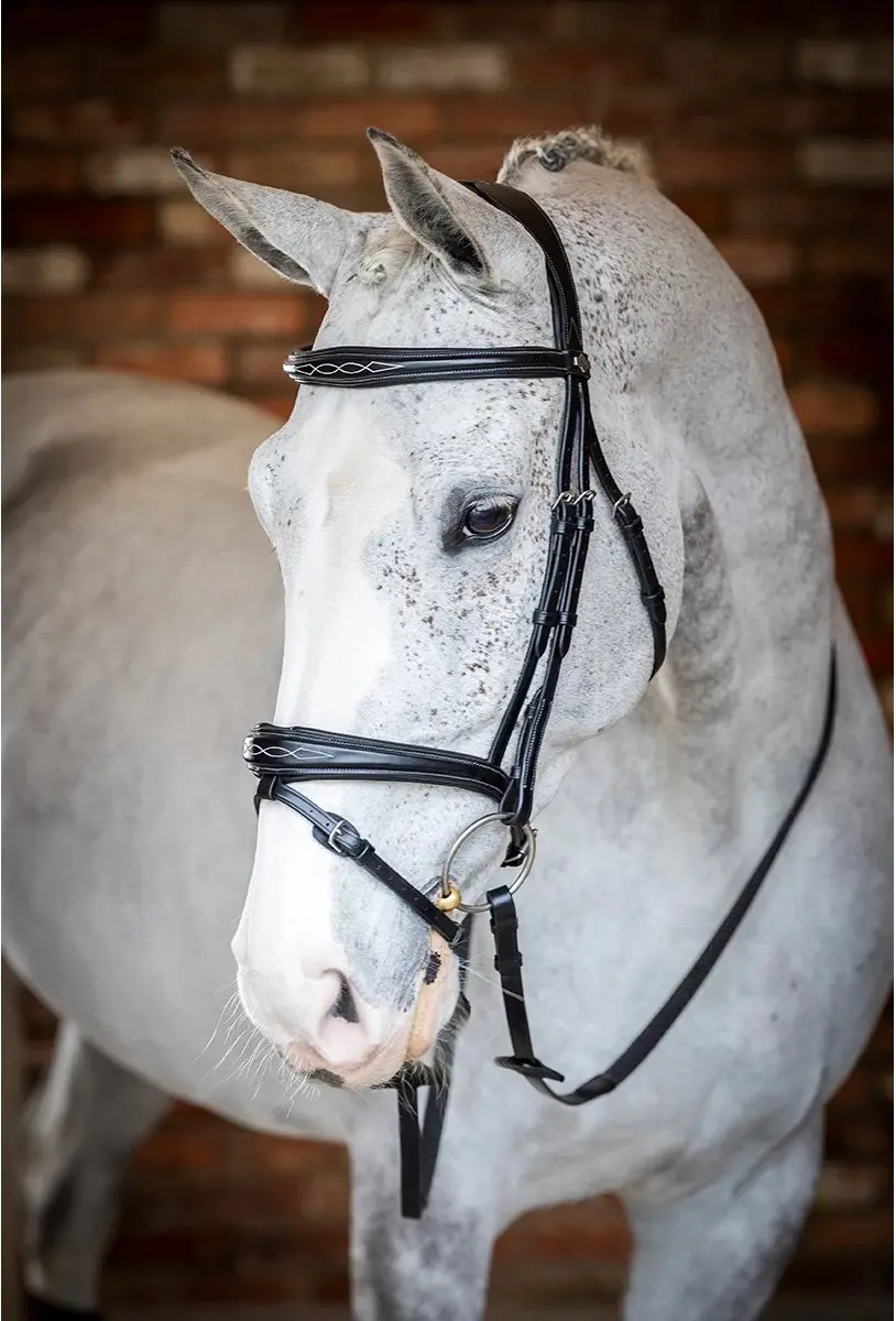Lemieux Competition Flash Hoofdstel - Cob - Zwart