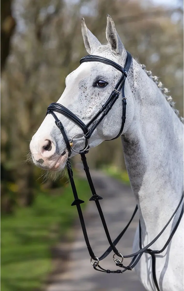 Lemieux Competition Flash Hoofdstel - Cob - Zwart - afbeelding 6 van 6