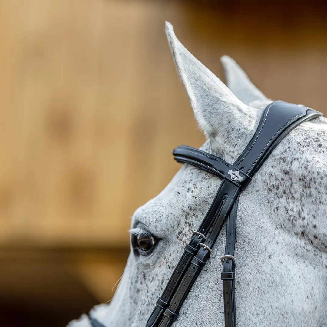 Lemieux Competition Flash Hoofdstel - Cob - Zwart