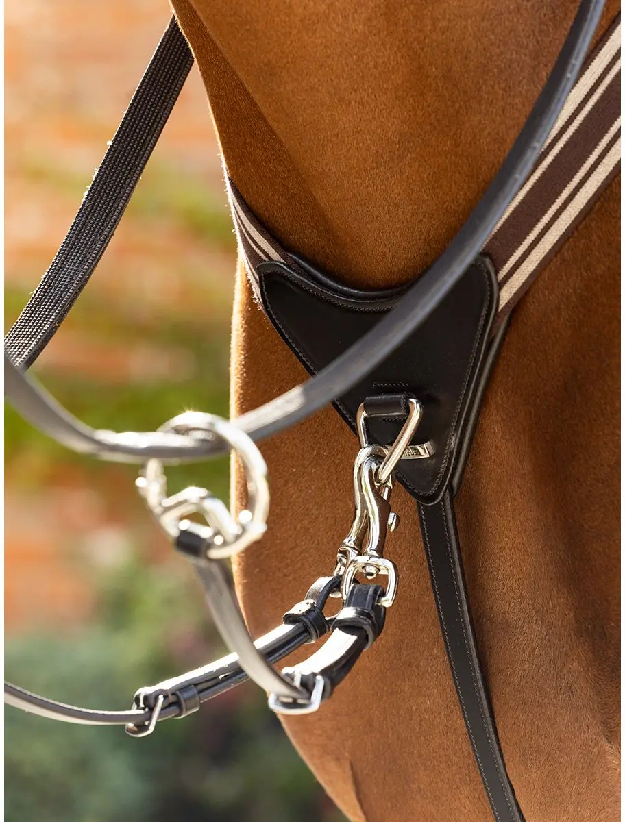 Lemieux Arika Borsttuig Full - Bruin-zilver